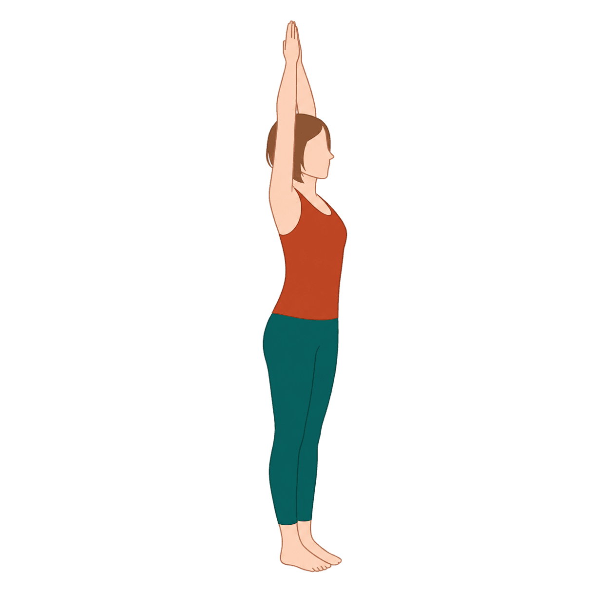 Sun salutation foundations
